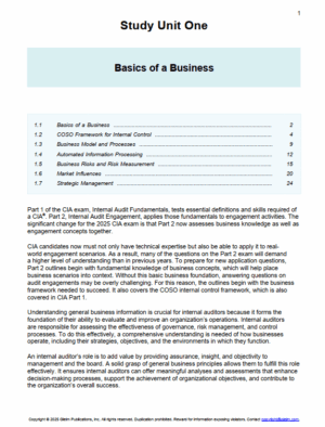 CIA 2025 Gleim Part 2 Book + Summary