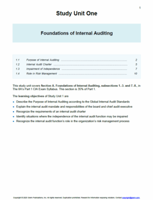 CIA 2025 Gleim Part 1 Book + Summary